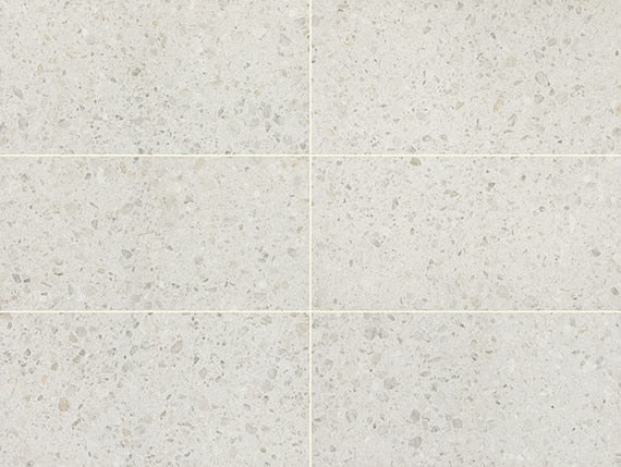 Daltile Outlander 12" X 24" Grande Sterling