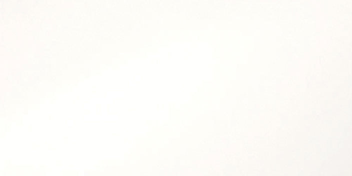 Emser Times Square 12"x24" Polished White