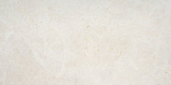 Emser Summit 12"x24" Honed Ivory