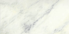 Emser Winter Frost 12"x24" Honed Winter frost