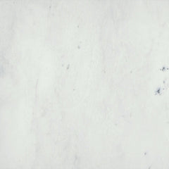 Emser Winter Frost 24"x24" Honed Winter frost